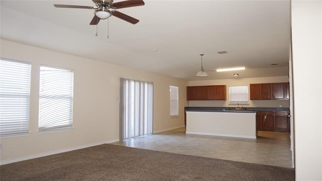 809 Bee Creek Lane - Photo 5 of 16