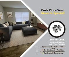 featured image of 203 Stonetree Dr