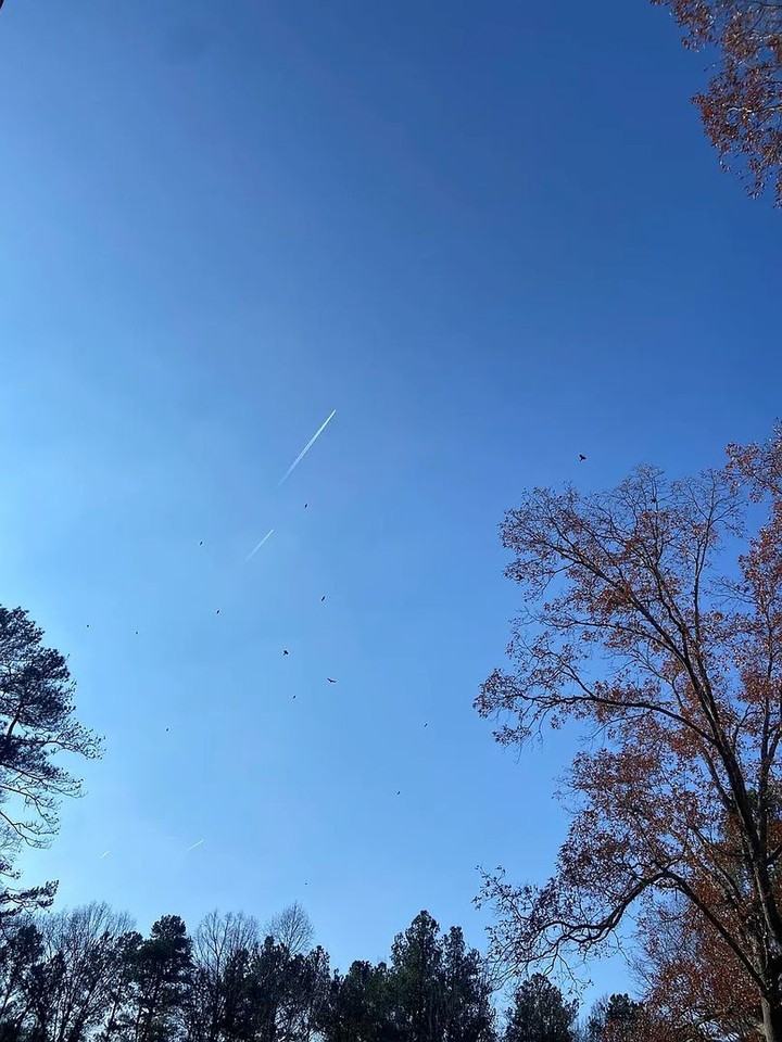 6433 Valley Brook Dr - Photo 4 of 16