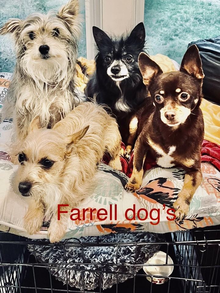 25 Honey Hill Road - Photo 5 of 11