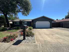 1133 Pineland Dr - Photo 1 of 1