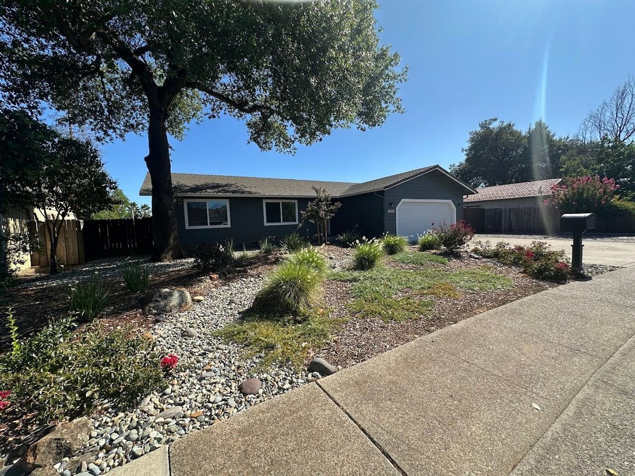 1133 Pineland Dr - Photo 2 of 50