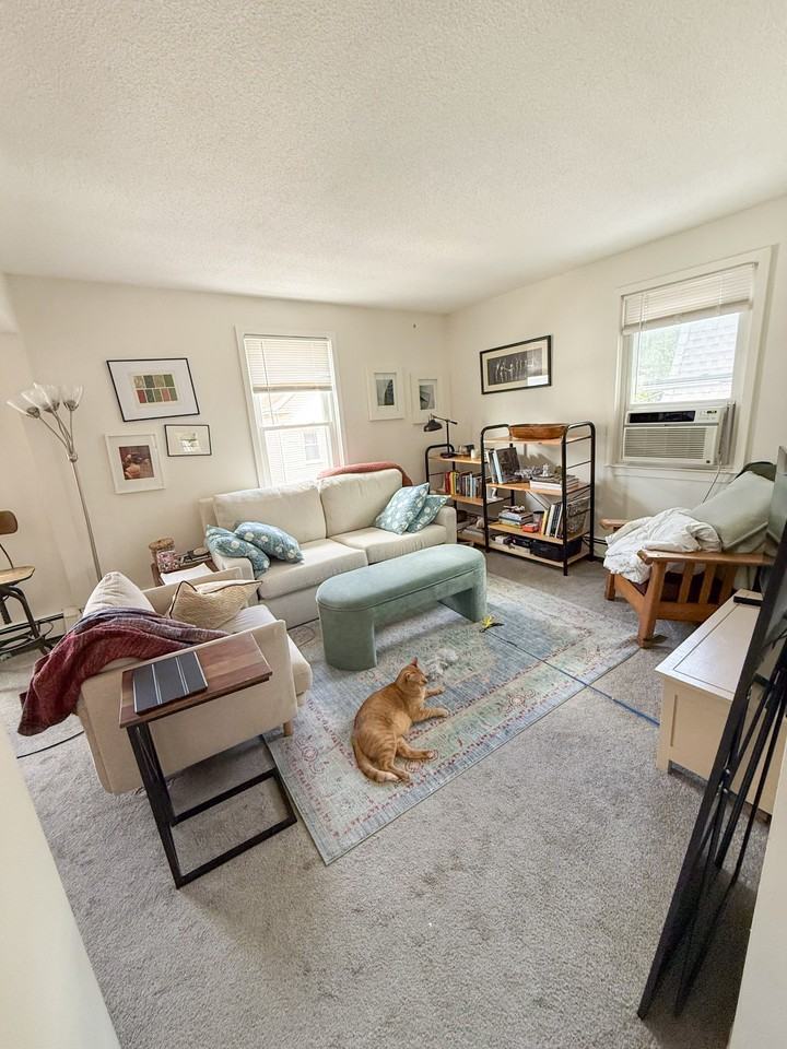 44 Vale Street - Photo 4 of 16