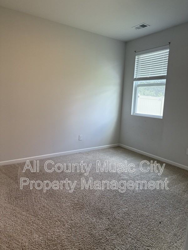 337 Tessa Grace Way - Photo 4 of 16