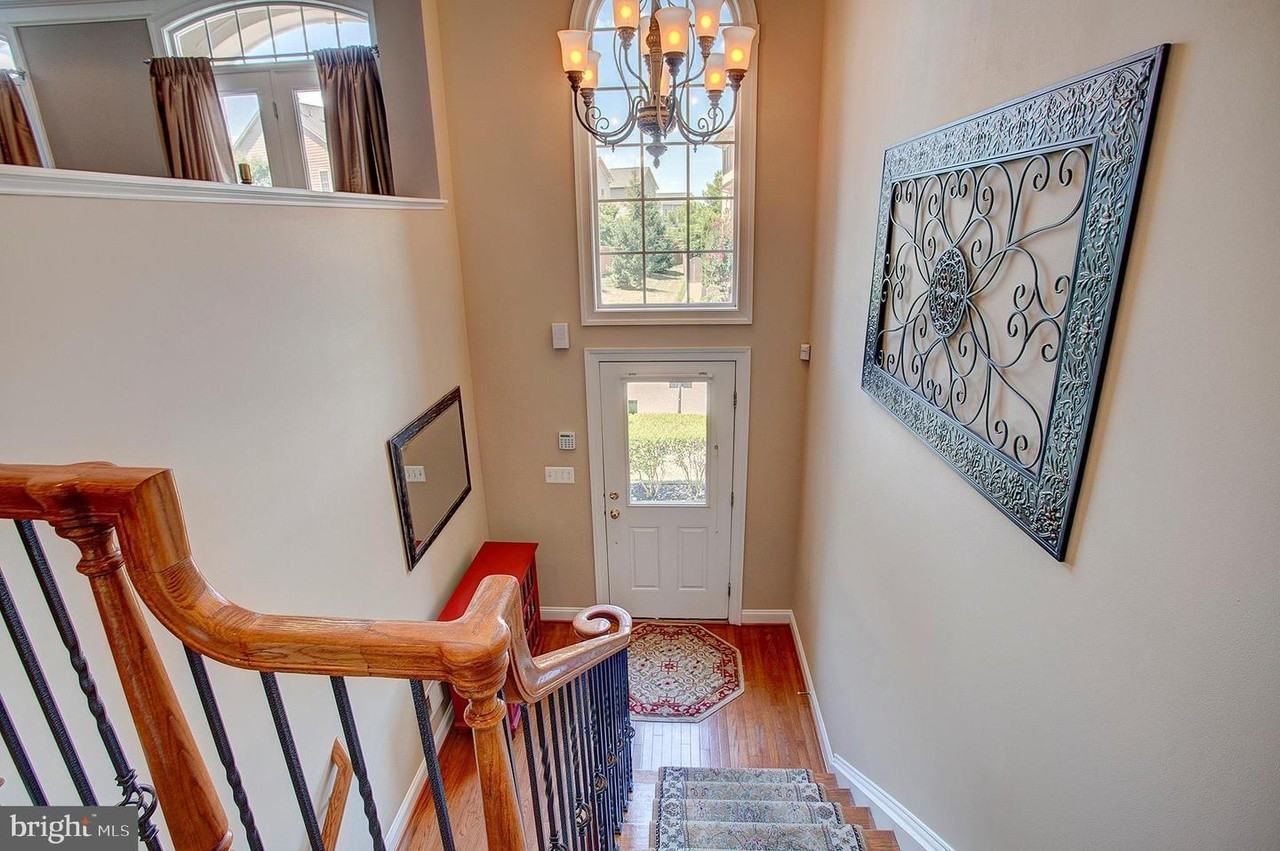 43577 Purple Aster Ter #43577 - Photo 2 of 13