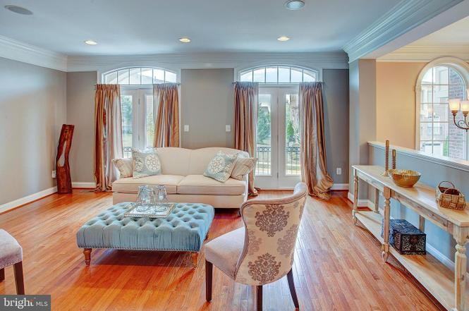 43577 Purple Aster Ter #43577 - Photo 3 of 13