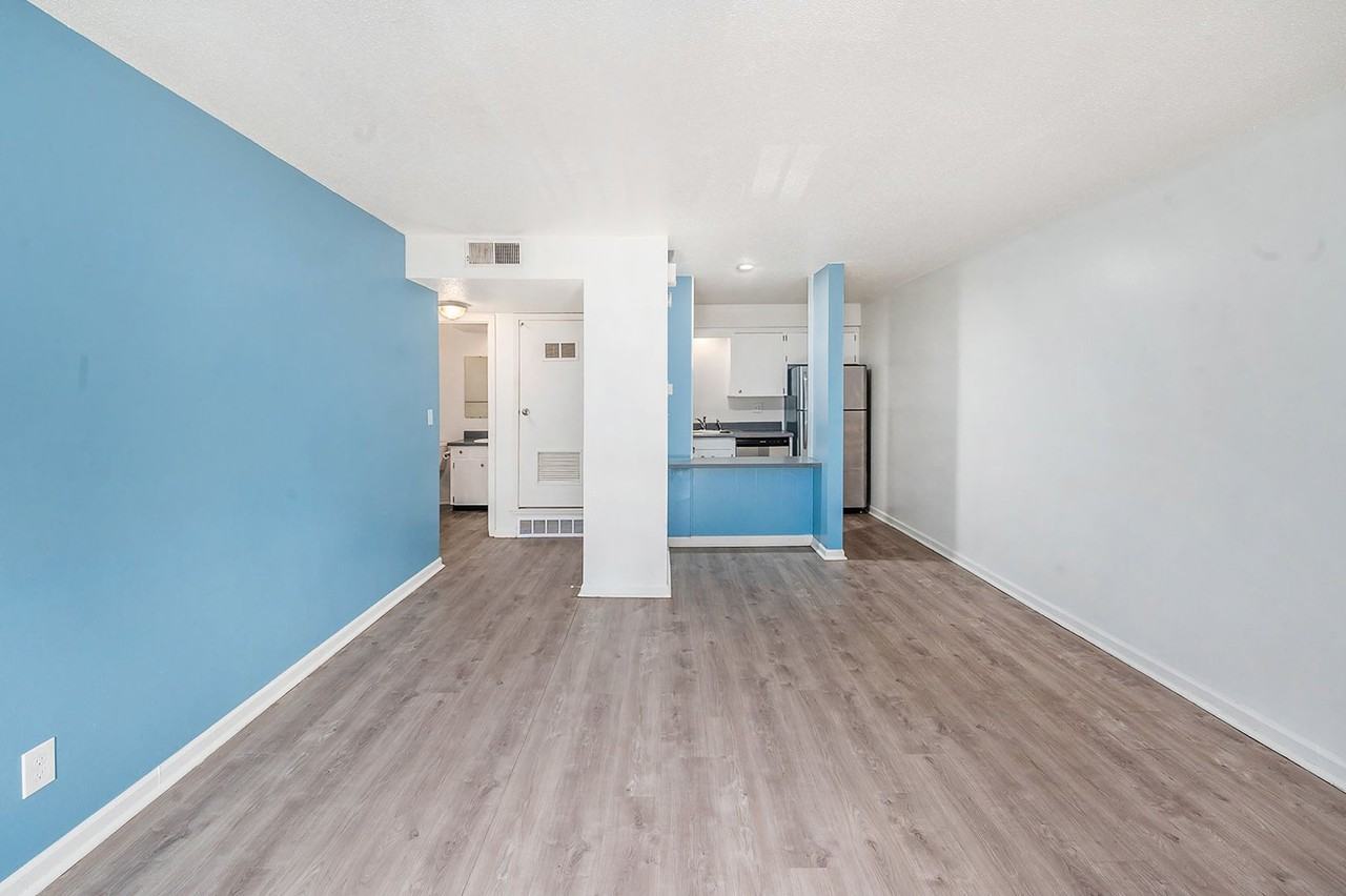 The Chestnut Apartments - Photo 5 of 11