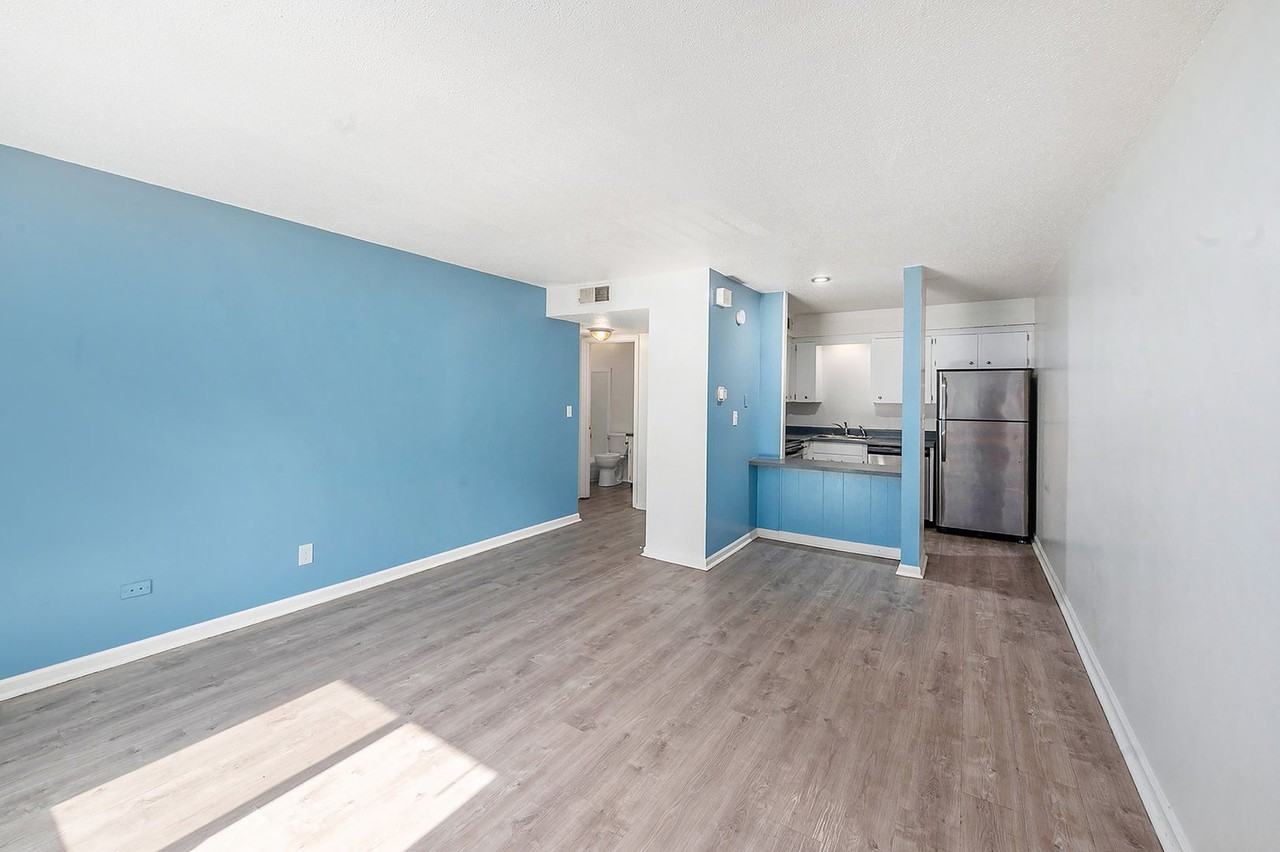 The Chestnut Apartments - Photo 6 of 11