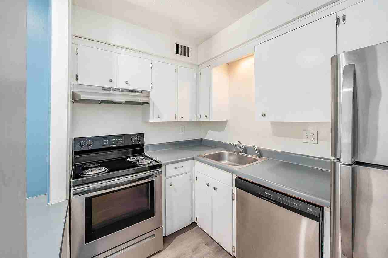 The Chestnut Apartments - Photo 7 of 11