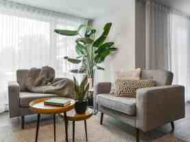 235-245 Cuvillier Street - Photo 1 of 1