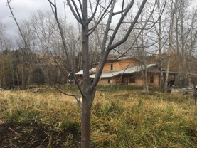 1305 S Church Ave - Photo 1 of 1