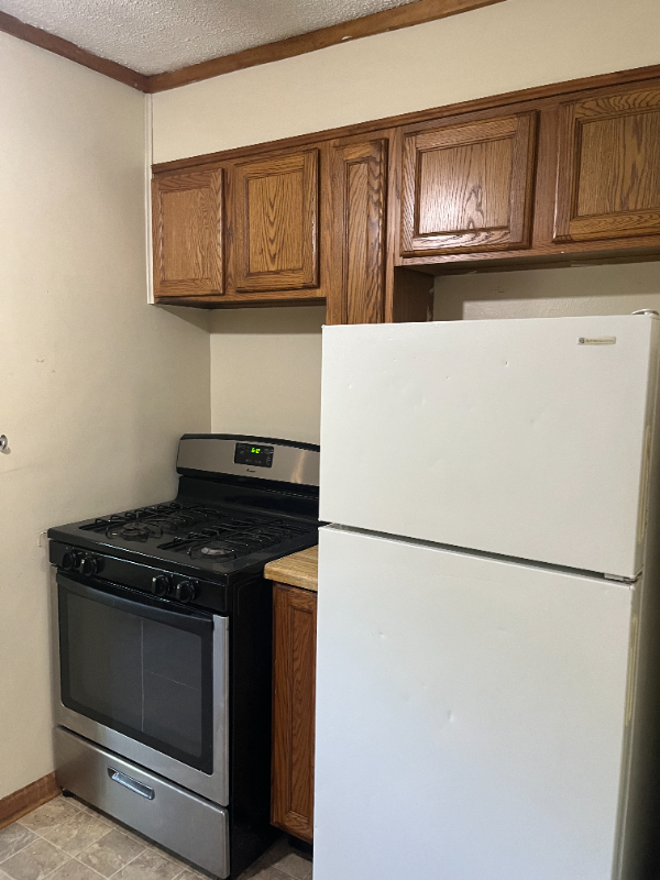 256 W Genesee St #1 - Photo 3 of 10