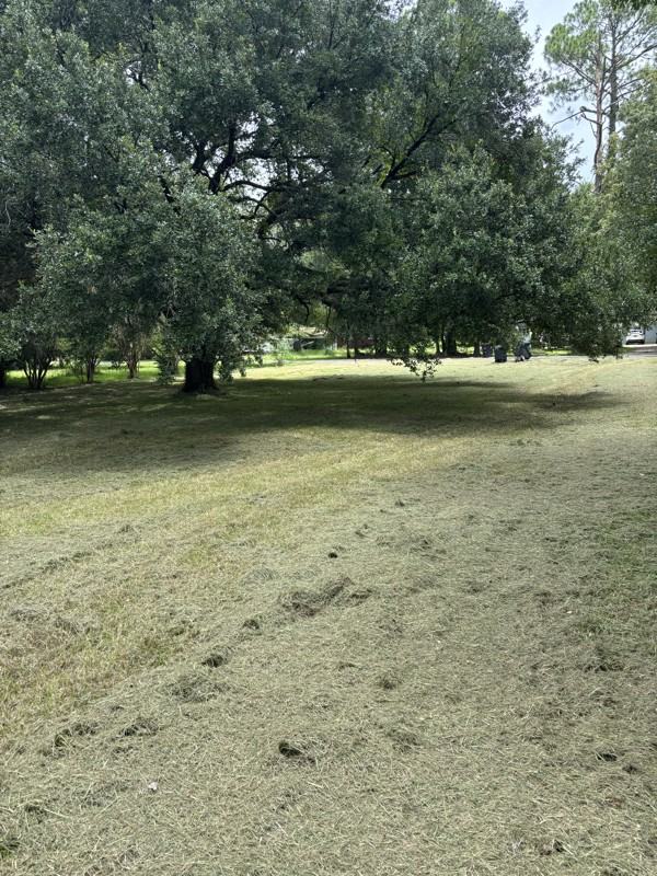 11735 Ellen Dr - Photo 2 of 14