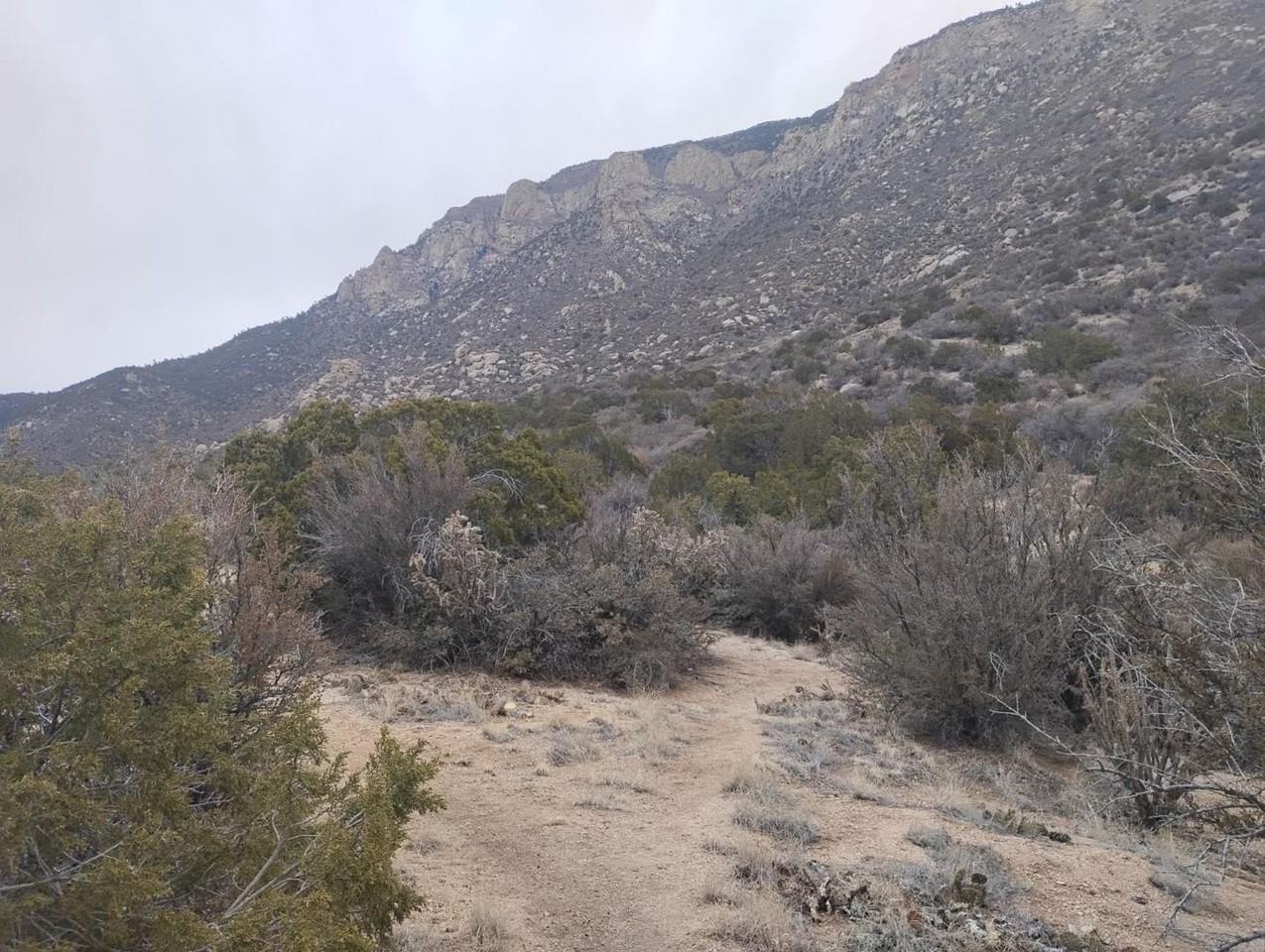 15 El Arco Dr Ne - Photo 2 of 30