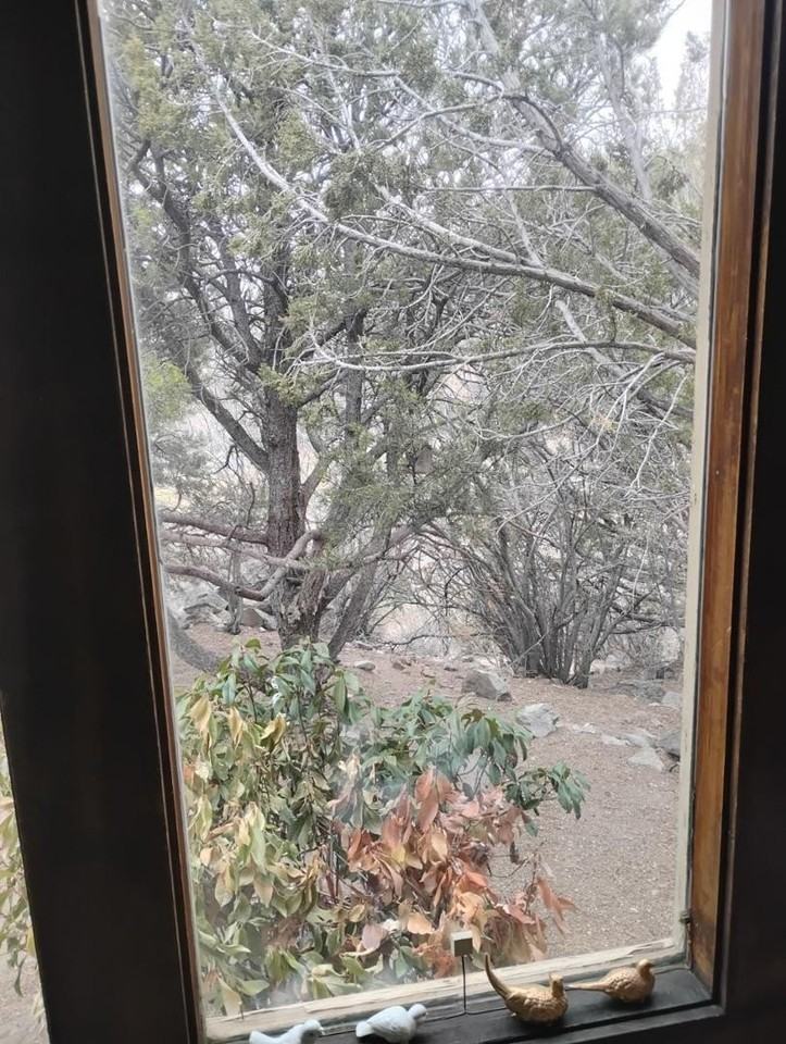 15 El Arco Dr Ne - Photo 3 of 30