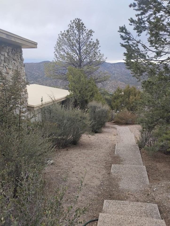 15 El Arco Dr Ne - Photo 7 of 30