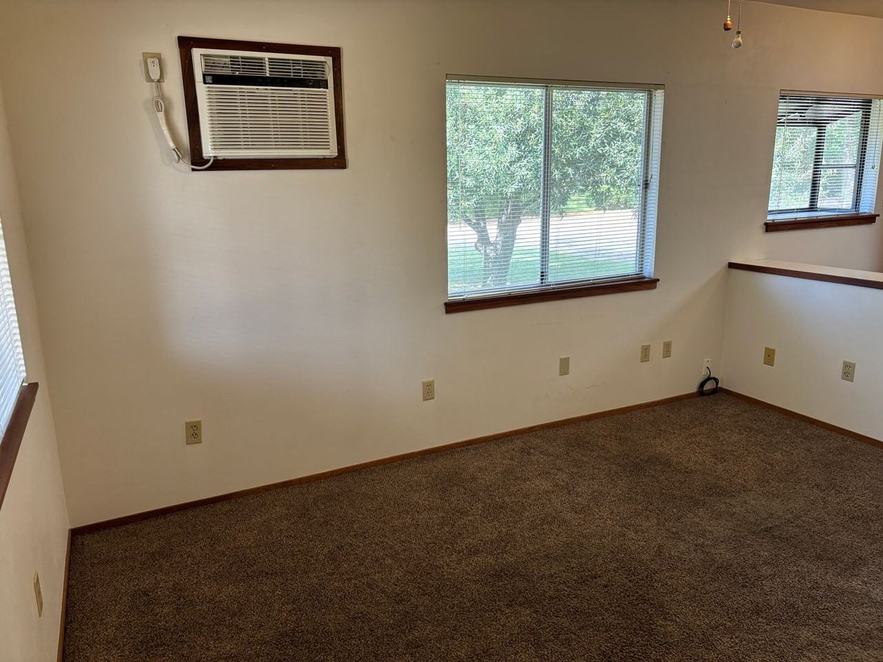 8411 Feickert Ranch Pl - Photo 4 of 19