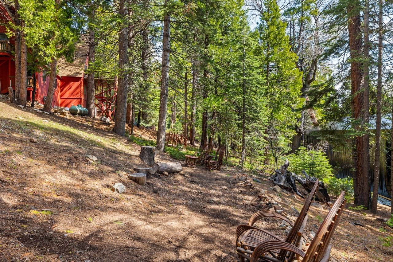 29457 Old Mono Rd - Photo 4 of 14