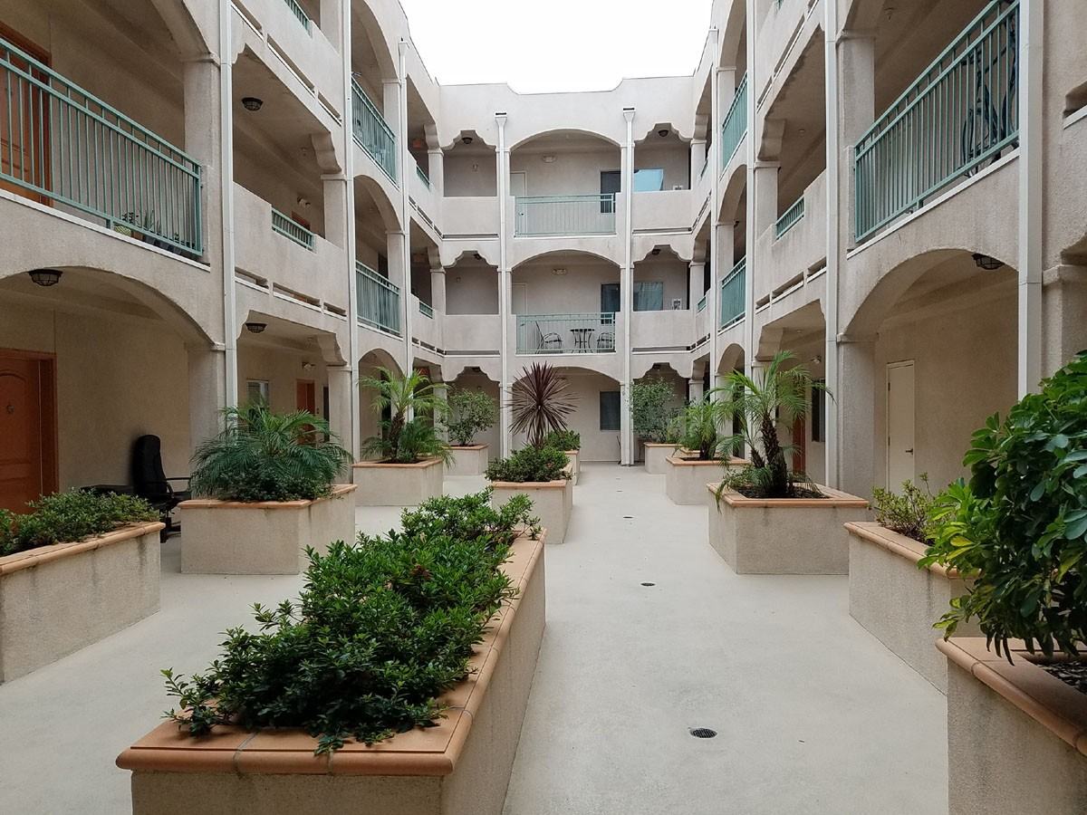 11115 Hartsook Street #302 - Photo 2 of 12