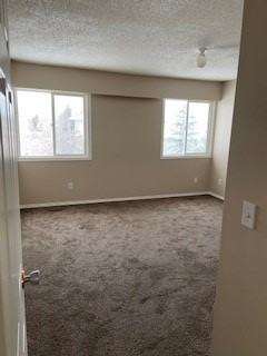 11338 89a Street #11338 - Photo 7 of 26