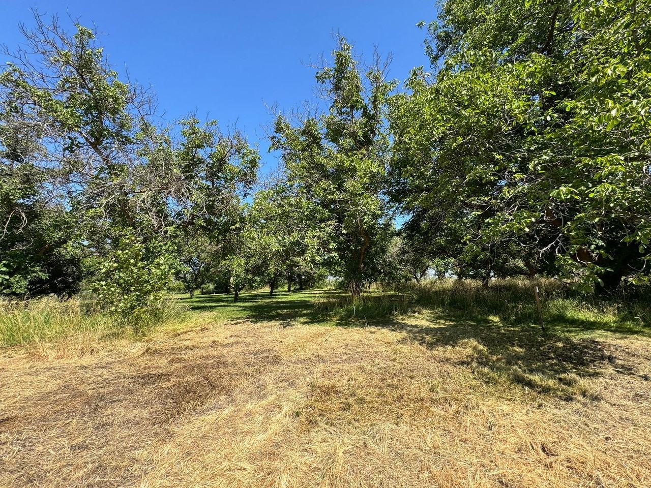 12505 Occidental Rd - Photo 6 of 24