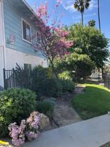 APT 1868LIN - Photo 1 of 1