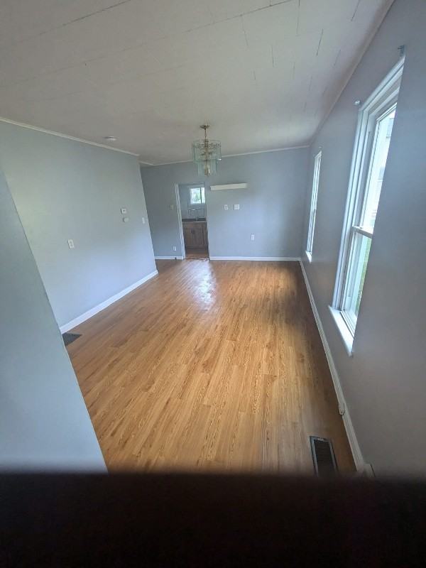 719 Rear Mabel St - Photo 2 of 12