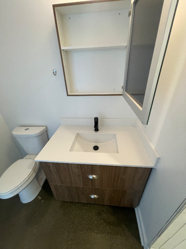 1200 S Blue Island Ave - Photo 5 of 7