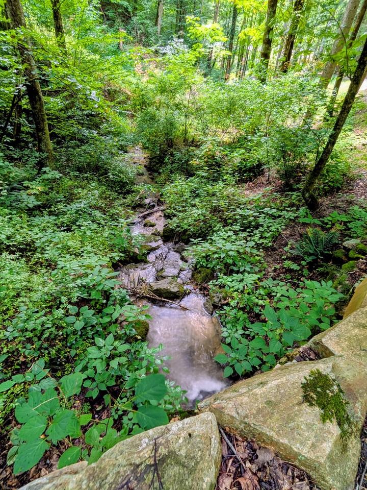 87 Old Cabin Cv #A - Photo 3 of 7