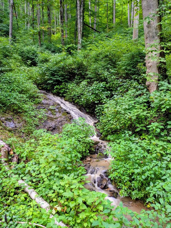 87 Old Cabin Cv #A - Photo 4 of 7