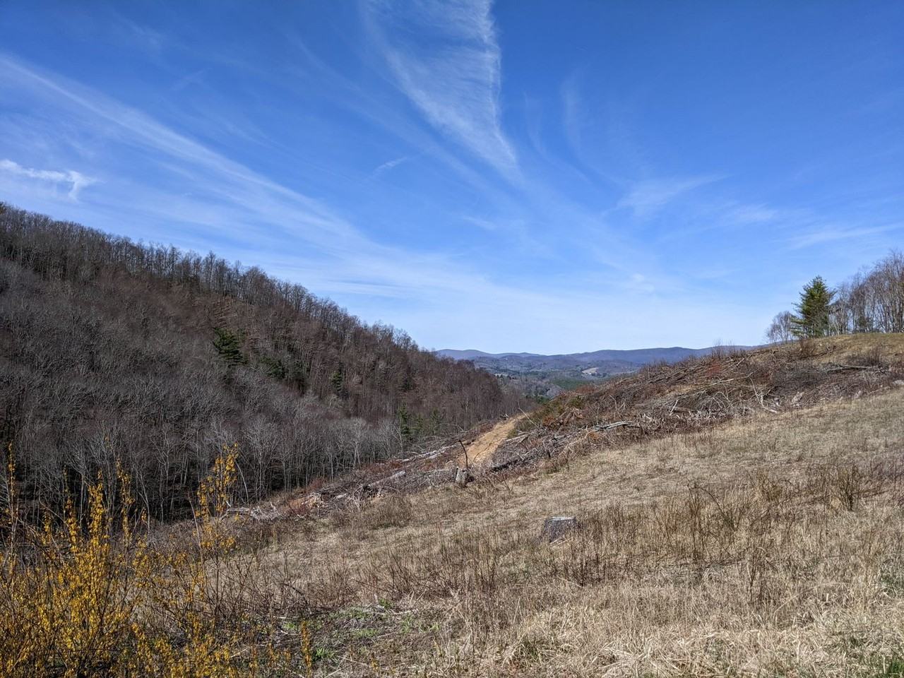 5990 Idlewild Rd - Photo 6 of 50