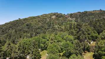 featured image of 599 Acacia Dr