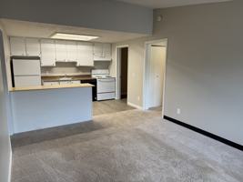 featured image of 710 Eureka Springs Dr