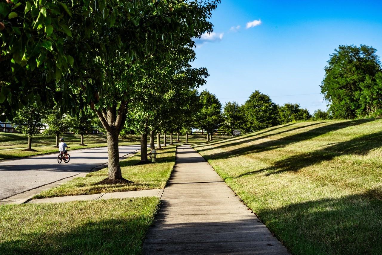 6245 Browning Trl #NA - Photo 3 of 50