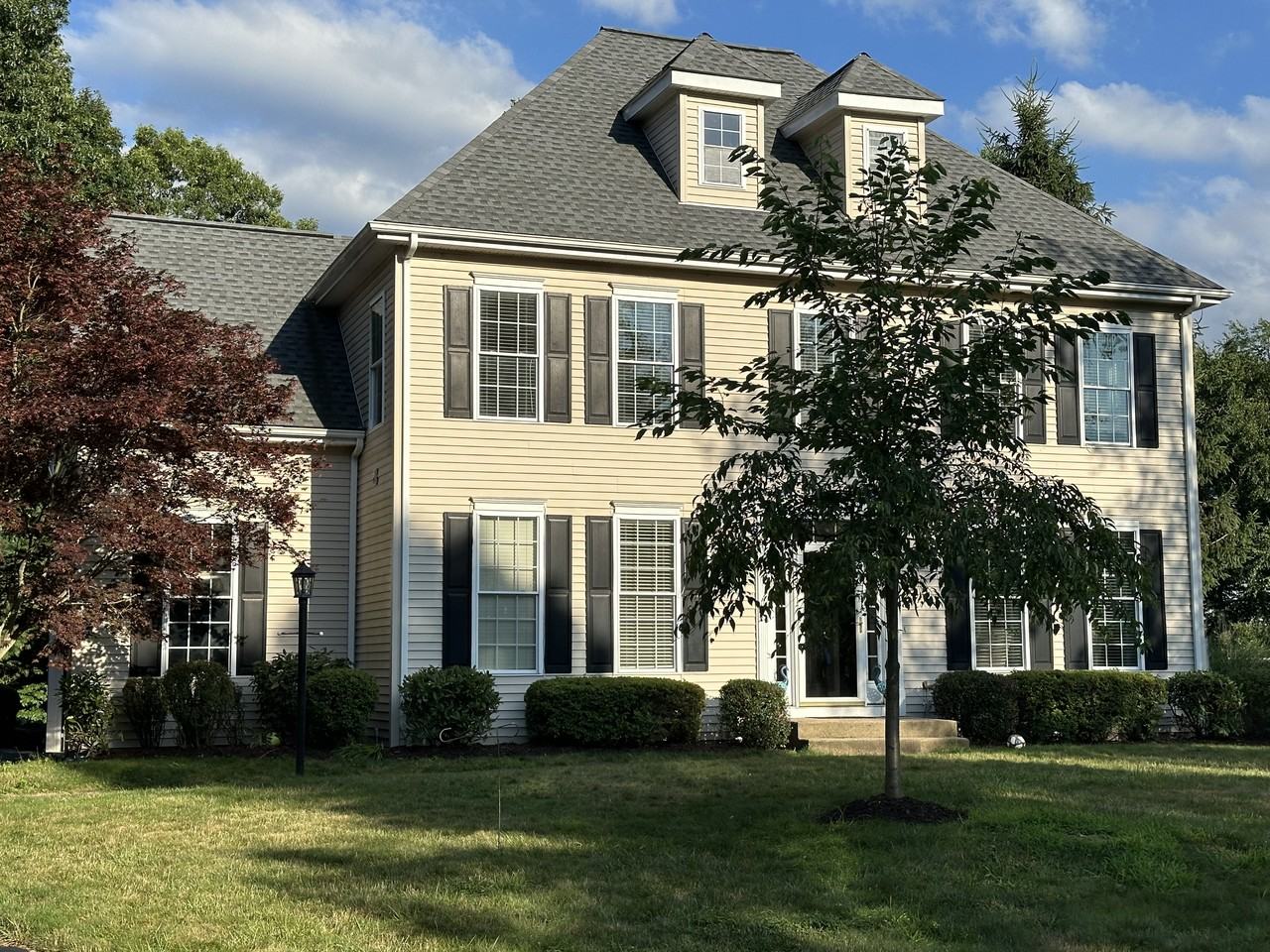 41 Buckingham Rd #NA - Photo 2 of 36