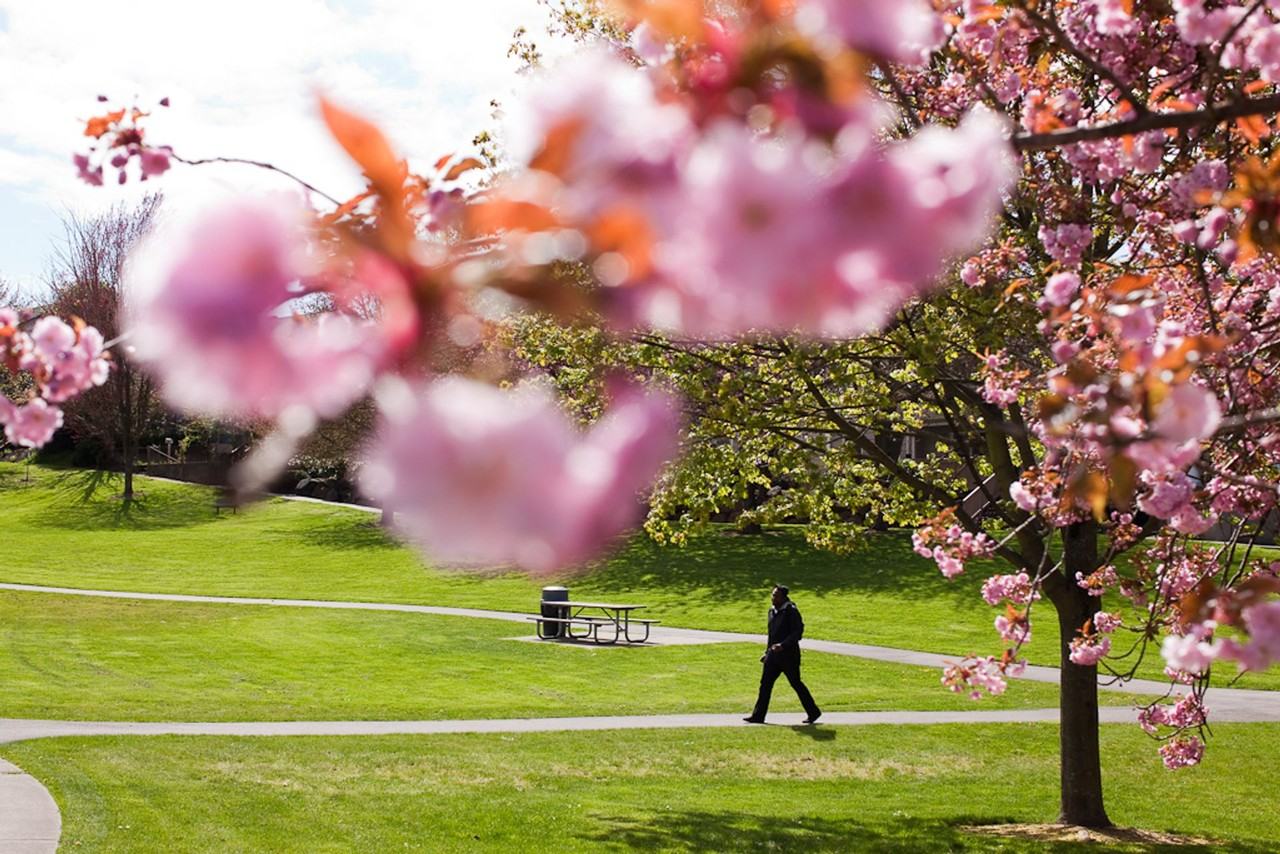 Pearl Street (3919) - Photo 6 of 15