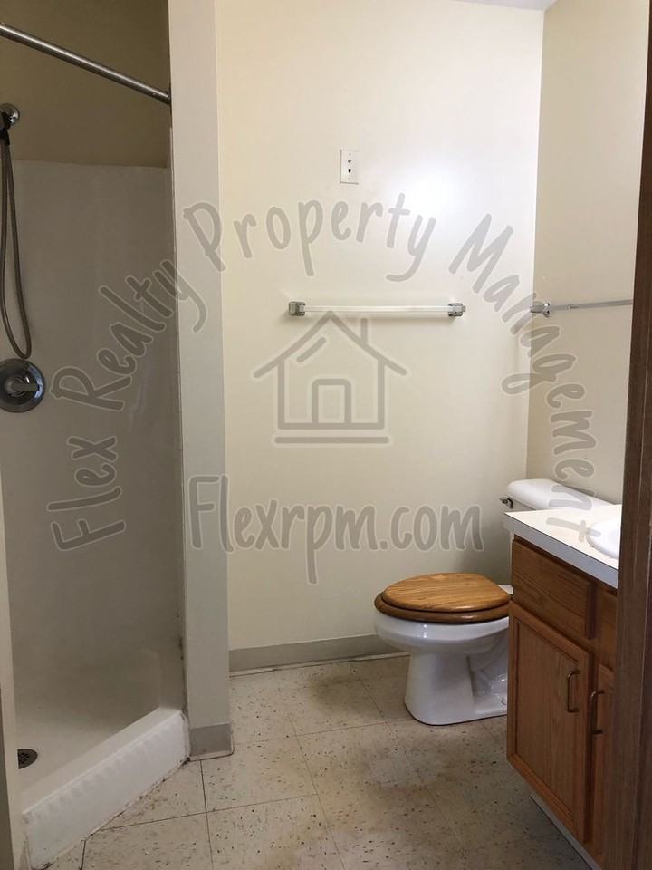 1137 Rockcress Dr - Photo 3 of 11