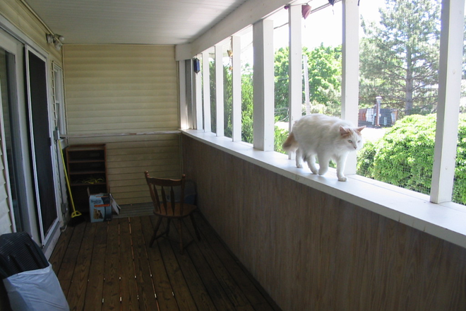 117 Prospect Street #U2 - Photo 6 of 6