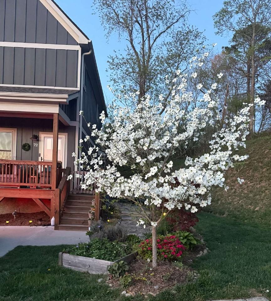 72 Wheeler Rd - Photo 2 of 17