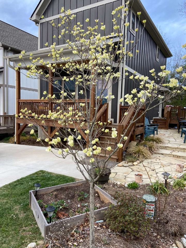 72 Wheeler Rd - Photo 3 of 17