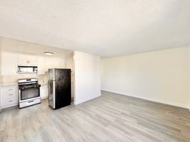 featured image of 1540 S Wilton Pl #204