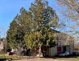 featured image of 214 Sw 8th St #4