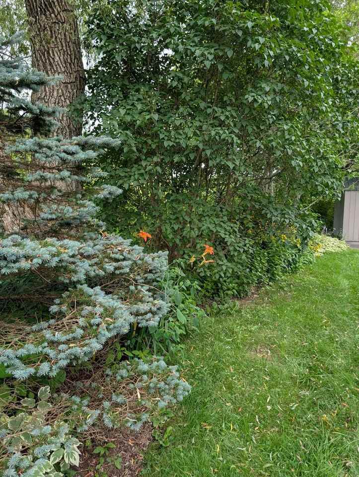 93 Water St - Photo 3 of 27