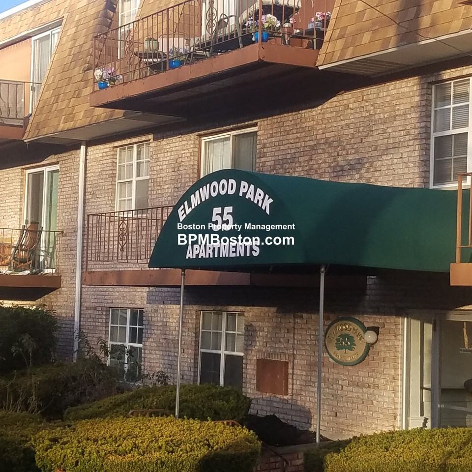 55 Elmwood Park #4 - Photo 6 of 6