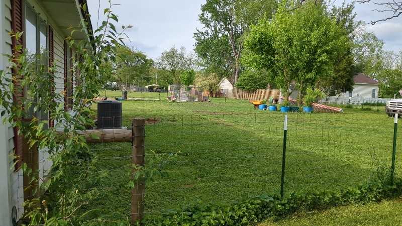 210 Tatertown Rd - Photo 2 of 17