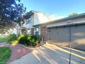 40225 Oak Tree - Photo 1 of 1