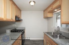 11037 Ferina St. - Photo 1 of 1