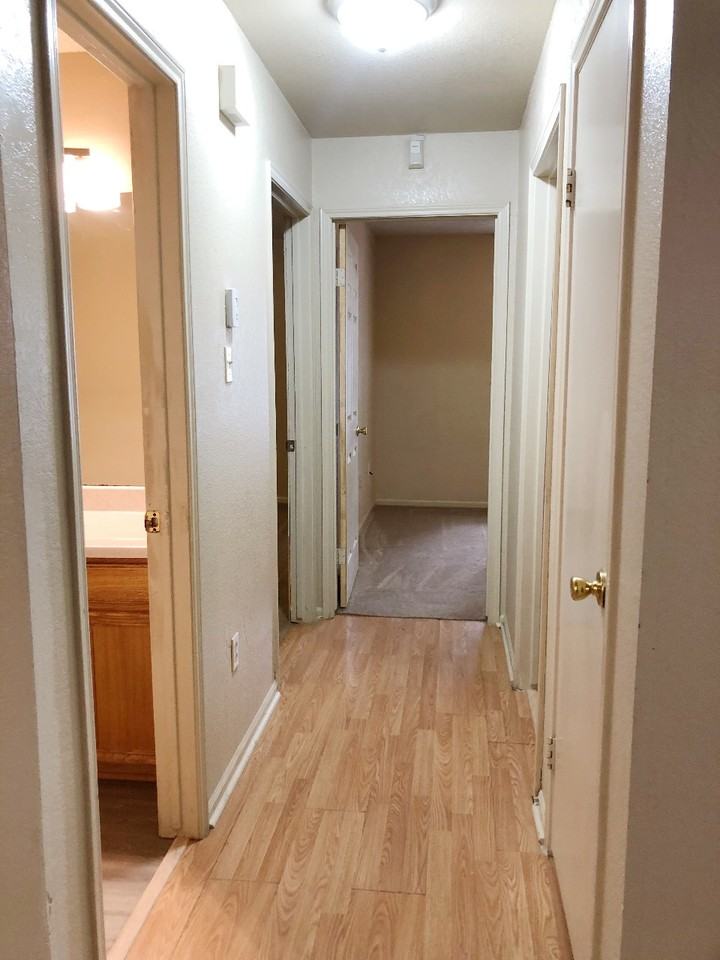 1809 Riata Drive - Photo 3 of 24