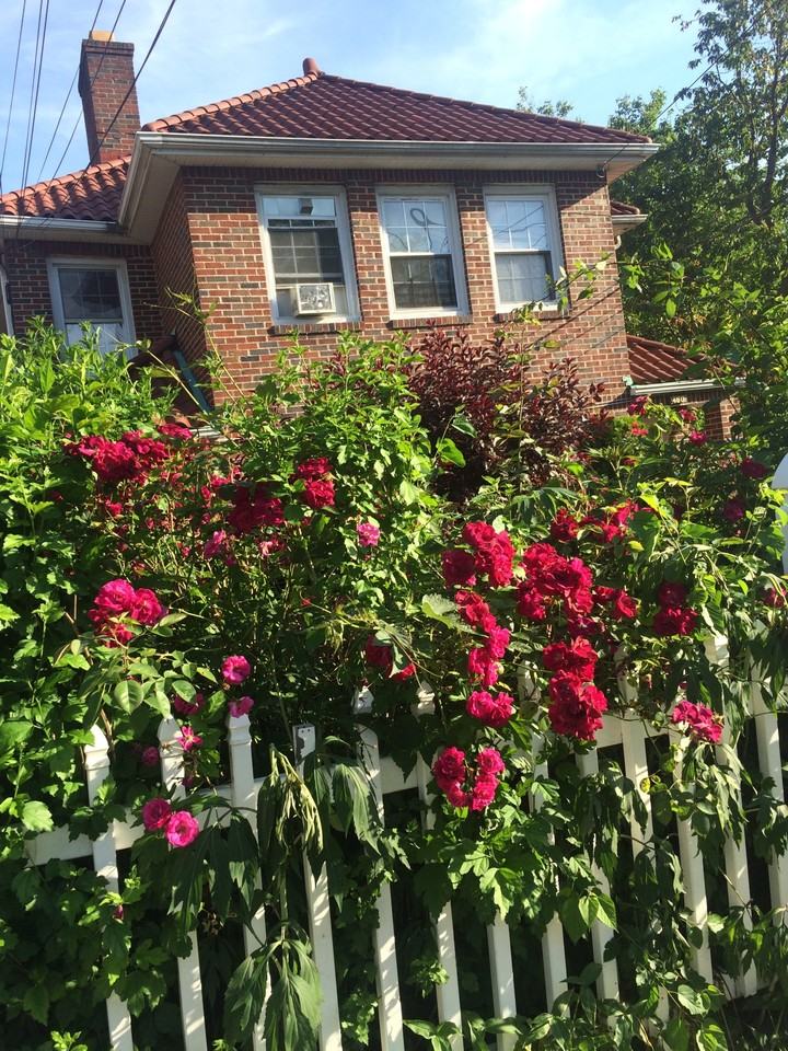 460 E 5th St - Photo 2 of 19