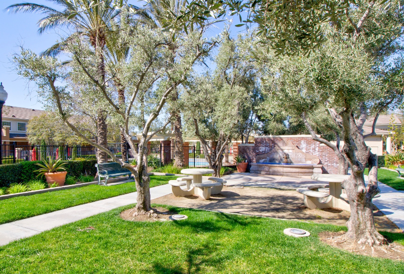 5644 Altamura Way - Photo 7 of 7